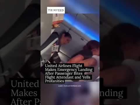 United Airlines Flight Makes Emergency Landing After Passenger Bites Flight Attendant