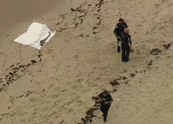 Body found along shore in Hollywood Beach