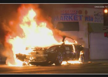 On mob that takes over L.A. street, sets cars on fire, and loots restaurant