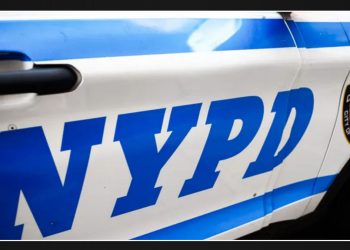 NYPD Seeks 10 Men in Central Park Wallet and Cellphone Robbery