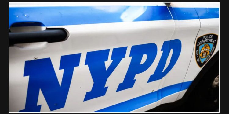 NYPD Seeks 10 Men in Central Park Wallet and Cellphone Robbery