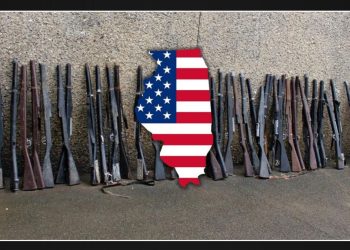 In a Month Long Crackdown, Illinois Police Confiscated 318 Guns