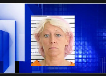 Moline woman charged with theft and forgery of over 149 checks