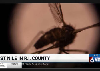 Mosquitoes-in-Rock-Island-County-test-positive-for-West-Nile-Virus