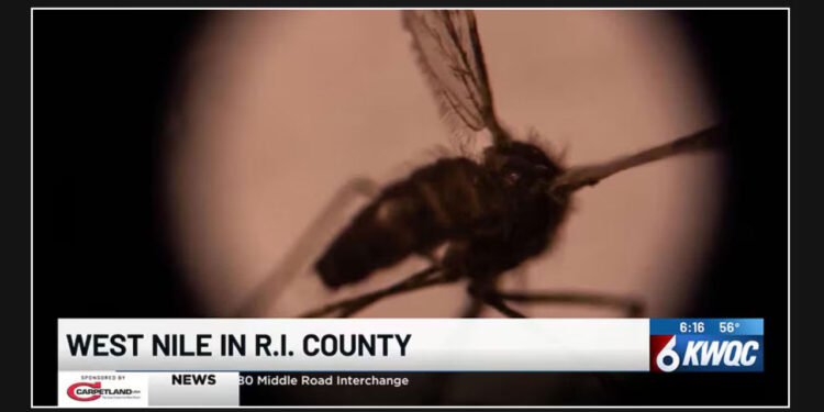 Mosquitoes-in-Rock-Island-County-test-positive-for-West-Nile-Virus