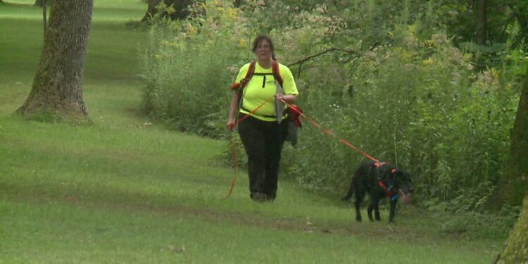 Crews searching for missing man at Black Hawk State Historic Site in Rock Island